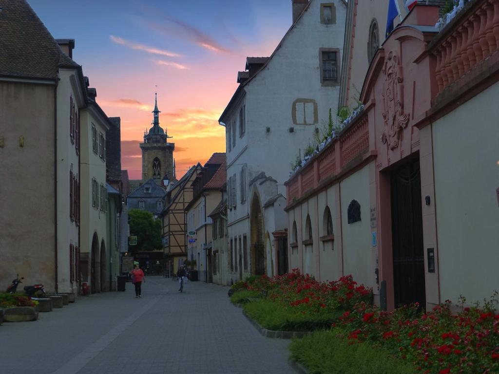 Apartament Le Belpierre Colmar Zewnętrze zdjęcie